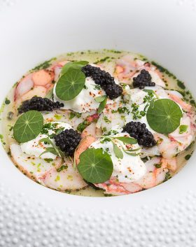 Carpaccio-dhomard-