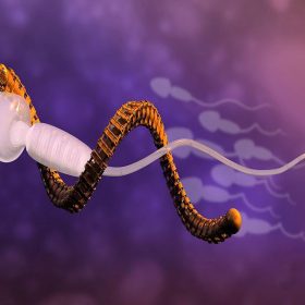 Nanobot-and-sperm