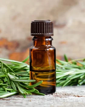 Rosemary