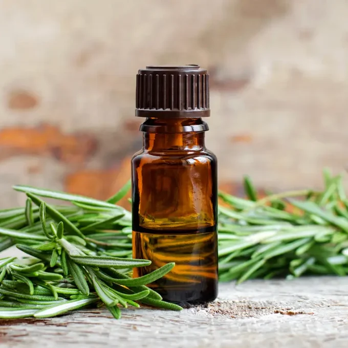 Rosemary