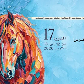 Salon du Cheval dEl Jadida