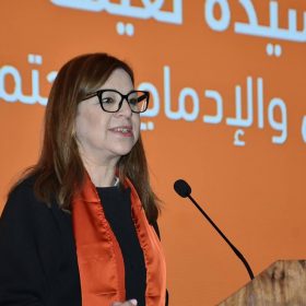 campagne-nationale-de-lutte-contre-la-violence-faite-aux-femmes