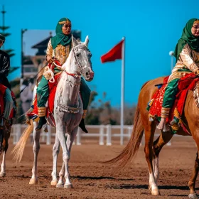 cheval el jadida