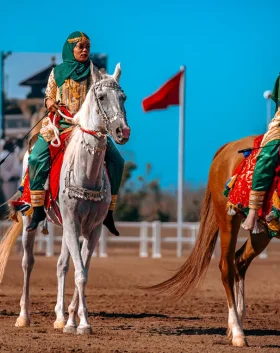 cheval el jadida