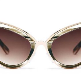 lunettes